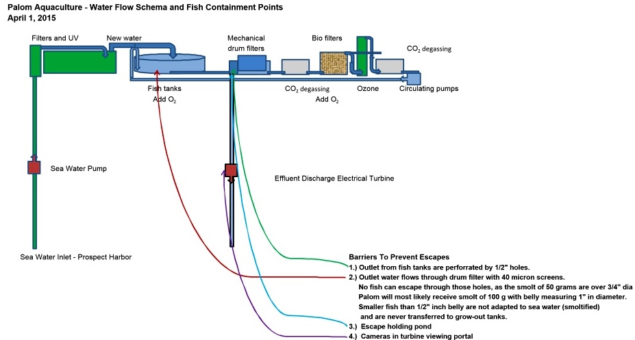 ras-aquaculture-closed-containment-salmon-sustainable-organic